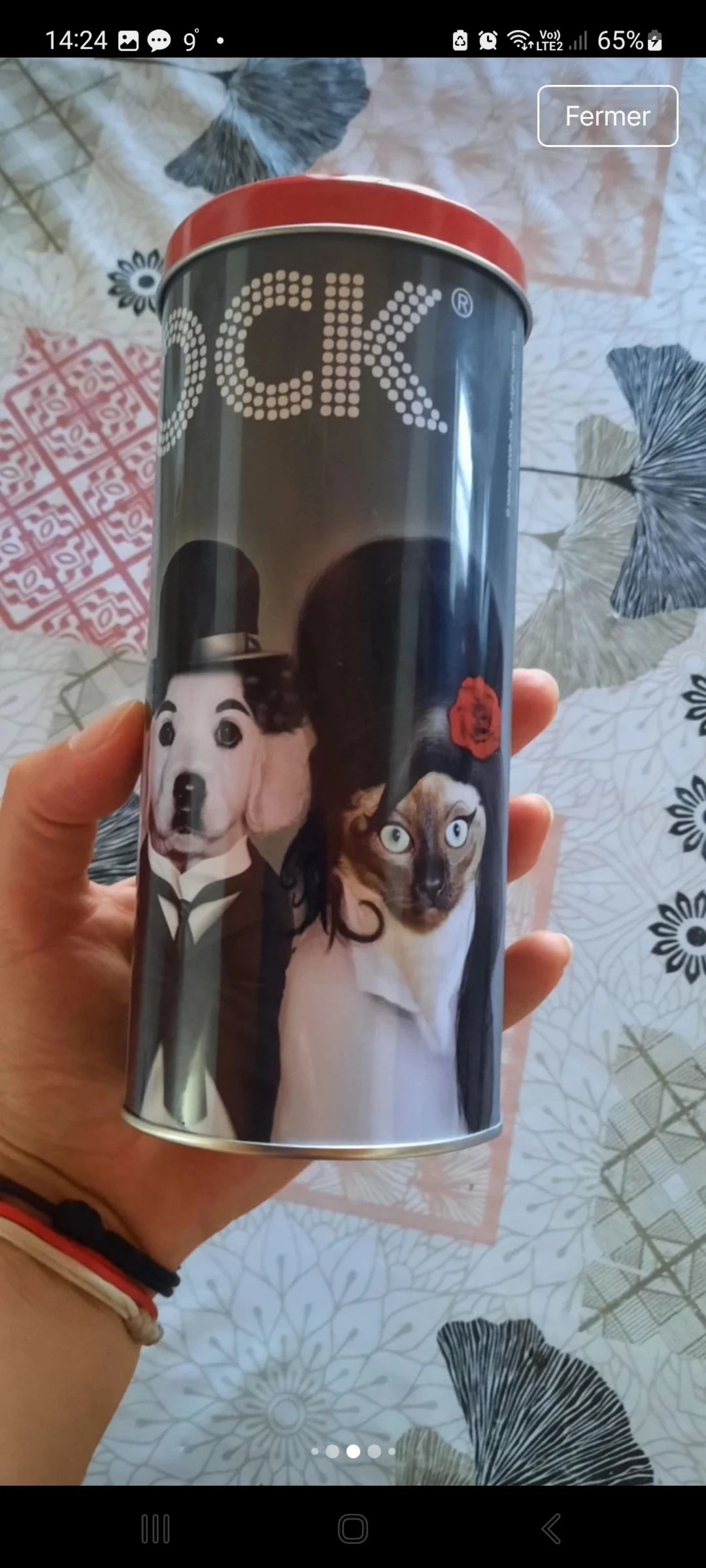 Caja Pets Rock – photo 4